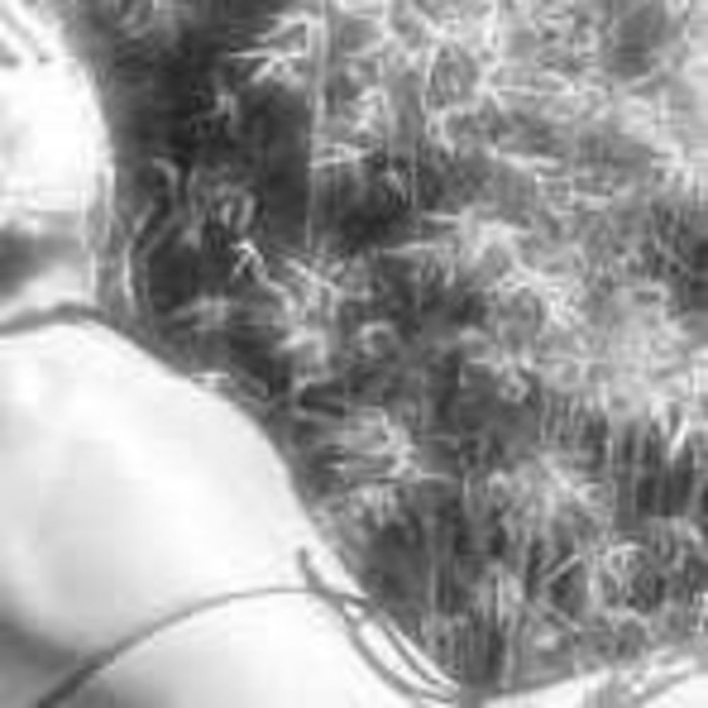 Meet your Posher, Reyna